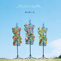 September 明日咲く花／CD